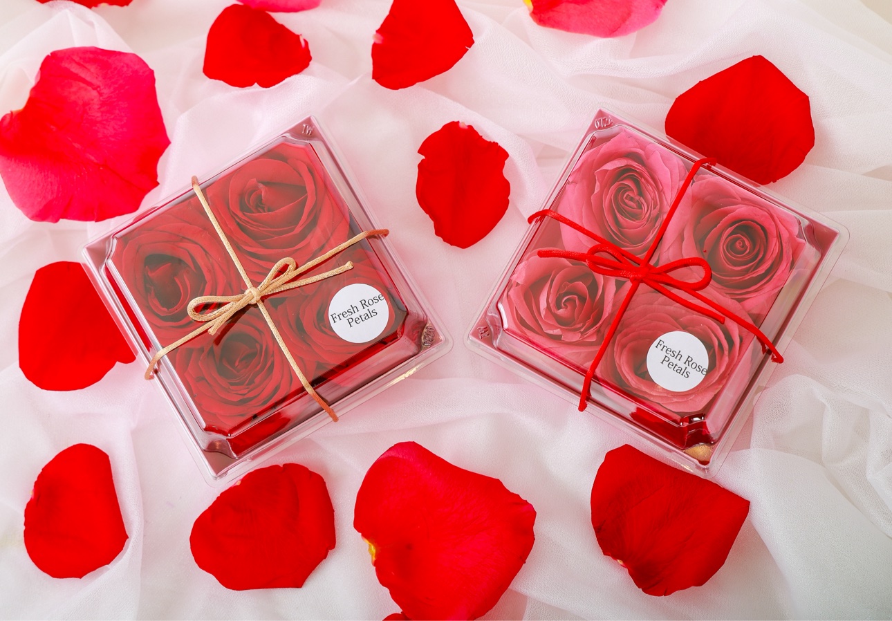 Fresh Rose Petal Tray — clear trays of fresh red and pink rose petals, tied with ribbon and sealed with the Fresh Rose Petals mark